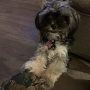 Meet your Posher, Denise